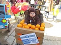 Нажмите на изображение для увеличения
Название: image-uni-107710-1854435572.jpeg
Просмотров: 418
Размер:	88.3 Кб
ID:	1371746