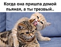 Нажмите на изображение для увеличения
Название: 7549276.jpg
Просмотров: 453
Размер:	57.2 Кб
ID:	1371844