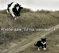 Нажмите на изображение для увеличения
Название: 7498069.jpg
Просмотров: 529
Размер:	63.5 Кб
ID:	1376324