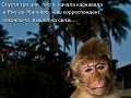 Нажмите на изображение для увеличения
Название: image-uni-128365-140132650.jpeg
Просмотров: 471
Размер:	64.3 Кб
ID:	1377344