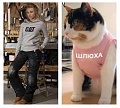 Нажмите на изображение для увеличения
Название: image-uni-128365-105057501.jpeg
Просмотров: 477
Размер:	51.7 Кб
ID:	1377722
