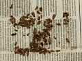 Нажмите на изображение для увеличения
Название: DSCN3723.JPG
Просмотров: 315
Размер:	1.28 Мб
ID:	1378618
