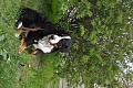 Нажмите на изображение для увеличения
Название: DSC_0311.jpg
Просмотров: 272
Размер:	686.7 Кб
ID:	1378685