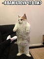 Нажмите на изображение для увеличения
Название: 7620228.jpg
Просмотров: 519
Размер:	32.4 Кб
ID:	1382271