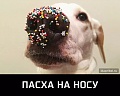 Нажмите на изображение для увеличения
Название: image-uni-107710-192914702.jpeg
Просмотров: 520
Размер:	82.6 Кб
ID:	1382637