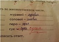 Нажмите на изображение для увеличения
Название: image-uni-128365-1949206241.jpeg
Просмотров: 518
Размер:	63.8 Кб
ID:	1383224