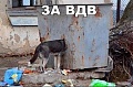 Нажмите на изображение для увеличения
Название: image-uni-128365-1977199478.jpeg
Просмотров: 463
Размер:	67.2 Кб
ID:	1383227