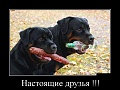 Нажмите на изображение для увеличения
Название: original (1).jpg
Просмотров: 469
Размер:	53.1 Кб
ID:	1383245