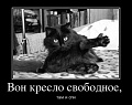 Нажмите на изображение для увеличения
Название: original (6).jpg
Просмотров: 475
Размер:	44.6 Кб
ID:	1383250