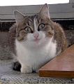 Нажмите на изображение для увеличения
Название: 7675231.jpg
Просмотров: 501
Размер:	140.1 Кб
ID:	1389186