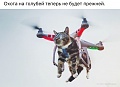 Нажмите на изображение для увеличения
Название: image-uni-107710-1691771949.jpeg
Просмотров: 493
Размер:	63.7 Кб
ID:	1389278