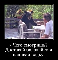 Нажмите на изображение для увеличения
Название: original (3).jpg
Просмотров: 611
Размер:	65.2 Кб
ID:	1390474