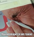 Нажмите на изображение для увеличения
Название: image-uni-128365-1774457484.jpeg
Просмотров: 493
Размер:	53.3 Кб
ID:	1393771