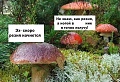 Нажмите на изображение для увеличения
Название: 7697228 (1).jpg
Просмотров: 443
Размер:	138.6 Кб
ID:	1394012