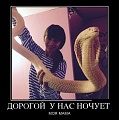 Нажмите на изображение для увеличения
Название: original (7).jpg
Просмотров: 392
Размер:	60.0 Кб
ID:	1396332