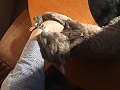 Нажмите на изображение для увеличения
Название: IMG_3775.jpg
Просмотров: 313
Размер:	370.7 Кб
ID:	1397676