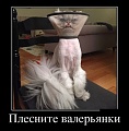 Нажмите на изображение для увеличения
Название: 1462477152_19.jpg
Просмотров: 336
Размер:	127.7 Кб
ID:	1397840