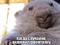 Нажмите на изображение для увеличения
Название: 7637247.jpg
Просмотров: 339
Размер:	97.5 Кб
ID:	1397842