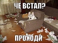 Нажмите на изображение для увеличения
Название: 7473051.jpg
Просмотров: 337
Размер:	73.1 Кб
ID:	1397845