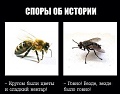 Нажмите на изображение для увеличения
Название: image-uni-128365-540264203.jpeg
Просмотров: 426
Размер:	41.5 Кб
ID:	1401901