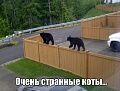 Нажмите на изображение для увеличения
Название: image-uni-128365-621256178.jpeg
Просмотров: 449
Размер:	71.5 Кб
ID:	1401905