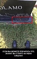 Нажмите на изображение для увеличения
Название: image-uni-128365-68992511.jpeg
Просмотров: 365
Размер:	71.5 Кб
ID:	1403162