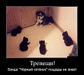 Нажмите на изображение для увеличения
Название: 1102_c481d81d48b6e2e6e65c3a6c1a1b1422.jpg
Просмотров: 411
Размер:	73.7 Кб
ID:	1404670
