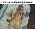 Нажмите на изображение для увеличения
Название: original (1).jpg
Просмотров: 403
Размер:	84.8 Кб
ID:	1405435