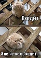 Нажмите на изображение для увеличения
Название: original (4).jpg
Просмотров: 390
Размер:	115.3 Кб
ID:	1405438