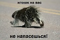 Нажмите на изображение для увеличения
Название: 7828285.jpg
Просмотров: 465
Размер:	105.8 Кб
ID:	1419913