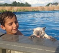 Нажмите на изображение для увеличения
Название: image-uni-128365-987733446.jpeg
Просмотров: 389
Размер:	102.6 Кб
ID:	1423114