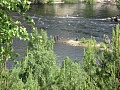 Нажмите на изображение для увеличения
Название: IMG_1879.jpg
Просмотров: 237
Размер:	735.6 Кб
ID:	1424101