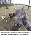 Нажмите на изображение для увеличения
Название: image-uni-128365-341024199.jpeg
Просмотров: 404
Размер:	96.5 Кб
ID:	1427133