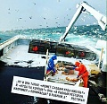Нажмите на изображение для увеличения
Название: 7882723.jpg
Просмотров: 418
Размер:	115.0 Кб
ID:	1431211