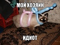 Нажмите на изображение для увеличения
Название: 1358606956_308673.jpeg
Просмотров: 403
Размер:	179.7 Кб
ID:	1431212