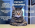 Нажмите на изображение для увеличения
Название: 7853133.jpg
Просмотров: 349
Размер:	70.8 Кб
ID:	1433460