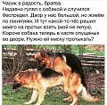 Нажмите на изображение для увеличения
Название: image-uni-128365-258694481.jpeg
Просмотров: 461
Размер:	125.8 Кб
ID:	1436021