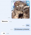 Нажмите на изображение для увеличения
Название: 7917224.jpg
Просмотров: 389
Размер:	84.1 Кб
ID:	1438560