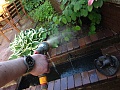 Нажмите на изображение для увеличения
Название: IMG_9311.jpg
Просмотров: 305
Размер:	434.4 Кб
ID:	1439481