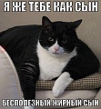 Нажмите на изображение для увеличения
Название: image-uni-128365-704522586.jpeg
Просмотров: 354
Размер:	60.1 Кб
ID:	1446584