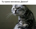 Нажмите на изображение для увеличения
Название: image-uni-128365-142473727.jpeg
Просмотров: 355
Размер:	48.6 Кб
ID:	1454563