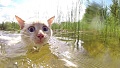 Нажмите на изображение для увеличения
Название: 7917139.jpg
Просмотров: 347
Размер:	52.8 Кб
ID:	1455717
