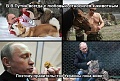 Нажмите на изображение для увеличения
Название: original (1).jpeg
Просмотров: 379
Размер:	167.2 Кб
ID:	1456435