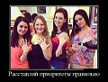 Нажмите на изображение для увеличения
Название: original (2).jpg
Просмотров: 389
Размер:	56.3 Кб
ID:	1456437