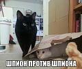 Нажмите на изображение для увеличения
Название: image.jpeg
Просмотров: 319
Размер:	68.5 Кб
ID:	1456499