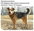 Нажмите на изображение для увеличения
Название: image-uni-128365-2093715541.jpeg
Просмотров: 338
Размер:	125.0 Кб
ID:	1456508