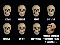 Нажмите на изображение для увеличения
Название: image-uni-128365-836713558.jpeg
Просмотров: 355
Размер:	63.5 Кб
ID:	1456509