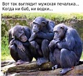 Нажмите на изображение для увеличения
Название: image.jpeg
Просмотров: 352
Размер:	70.4 Кб
ID:	1459784