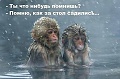 Нажмите на изображение для увеличения
Название: 1JxDnRv6WY0.jpg
Просмотров: 334
Размер:	31.0 Кб
ID:	1460921