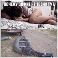 Нажмите на изображение для увеличения
Название: 8042507.jpg
Просмотров: 438
Размер:	154.2 Кб
ID:	1462948